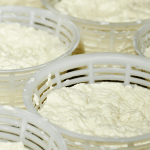 LABORATORIO DEL FORMAGGIO E DELLA RICOTTA
