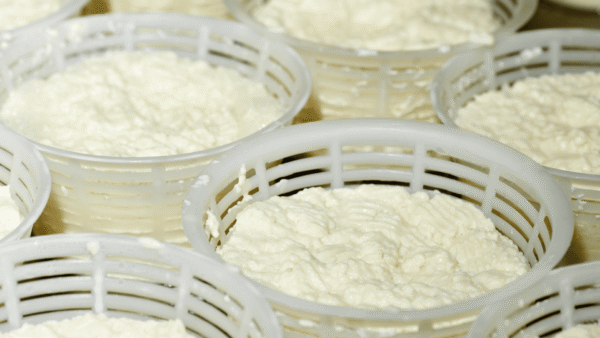 LABORATORIO DEL FORMAGGIO E DELLA RICOTTA