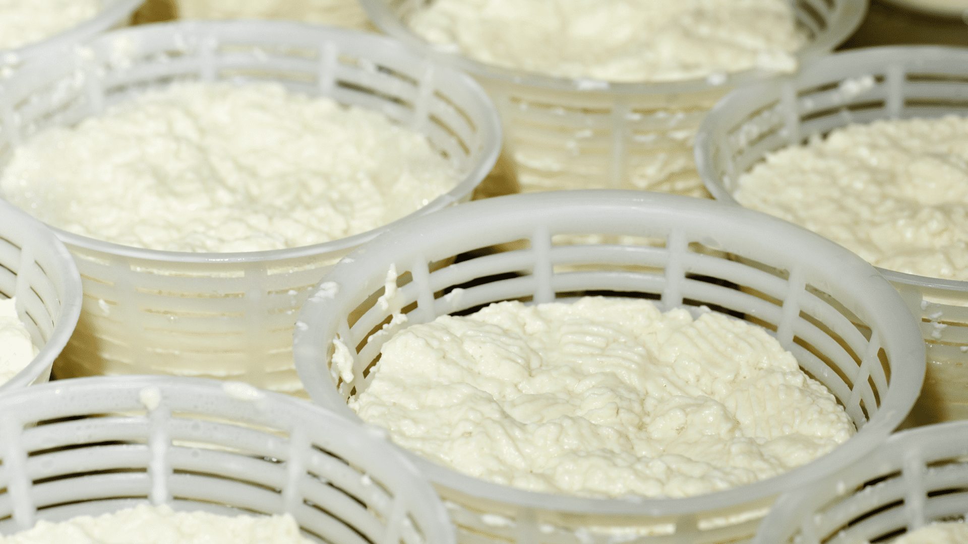 LABORATORIO DEL FORMAGGIO E DELLA RICOTTA - immagine 1